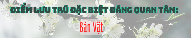000a578f8bfeb24a5323.png