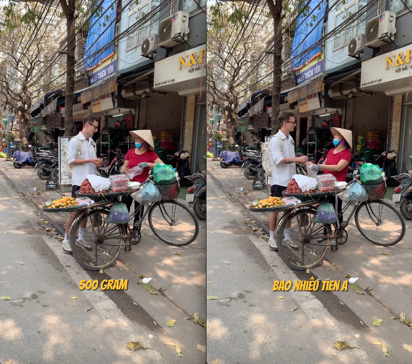 003028371926ede5514a.png
