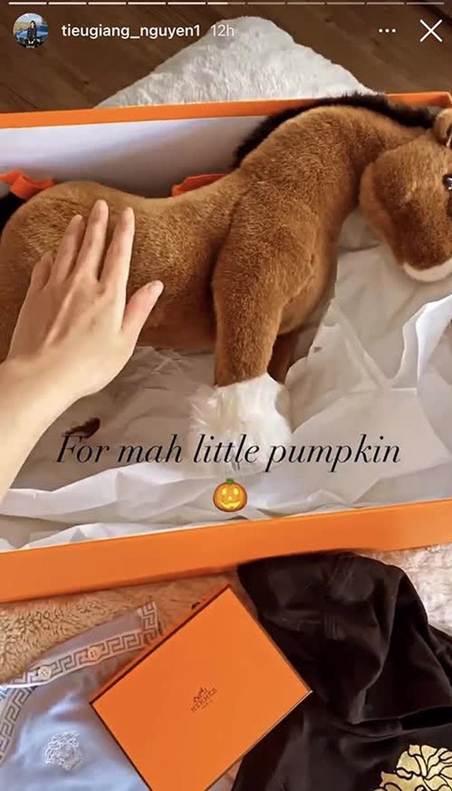0061446d371d13292d67.jpg