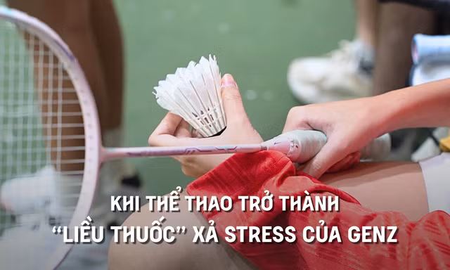 0080bccbe5d4042bf969.jpg