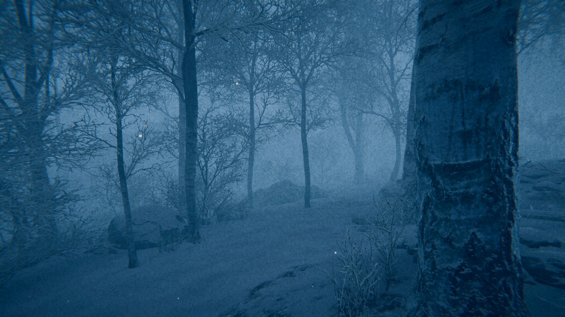 00ae3809596bfd522b47.png