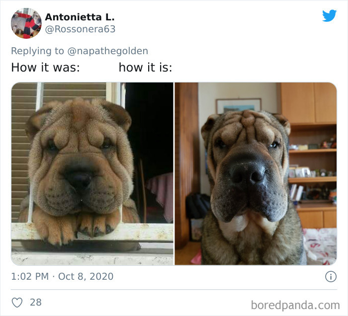 00b37c27611a45f66a10.jpg