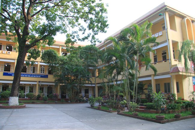 00bb68217fc541cd996f.jpg