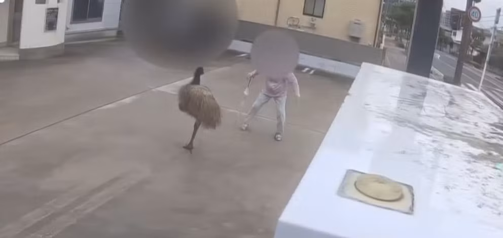 00f23b3c6477261e7f1e.jpg