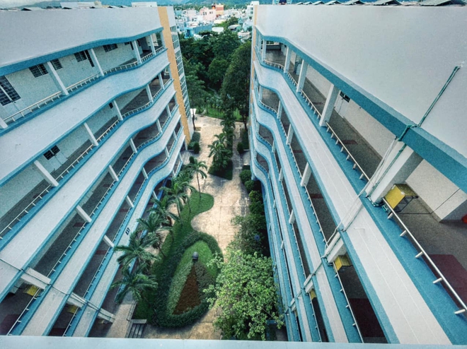 01e17036ba082c411485.jpg