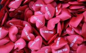 0203daeebe1ddb2c3b79.jpg