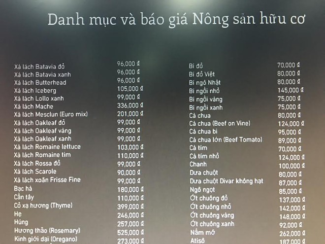 026d636131e7da05443c.jpg
