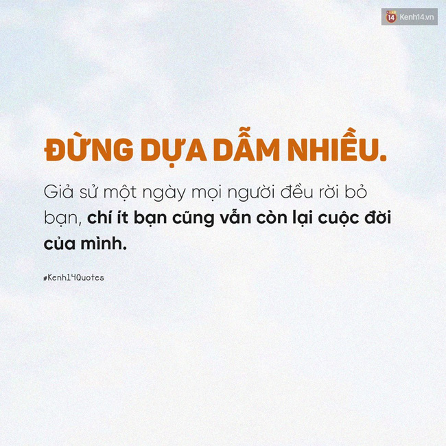 026f73ac7fe1e7bd3115.jpg