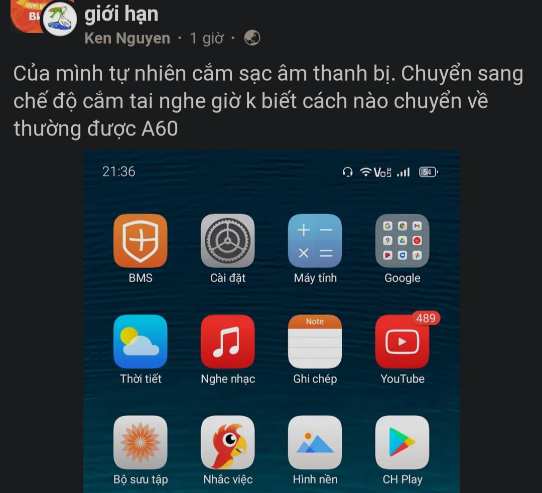 0279a11ea6c2ce53c445.jpg