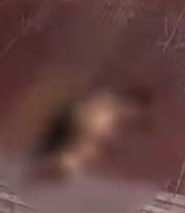 02c35648414128589cb0.png