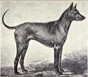 02fafc27f8a28920fb0e.jpg