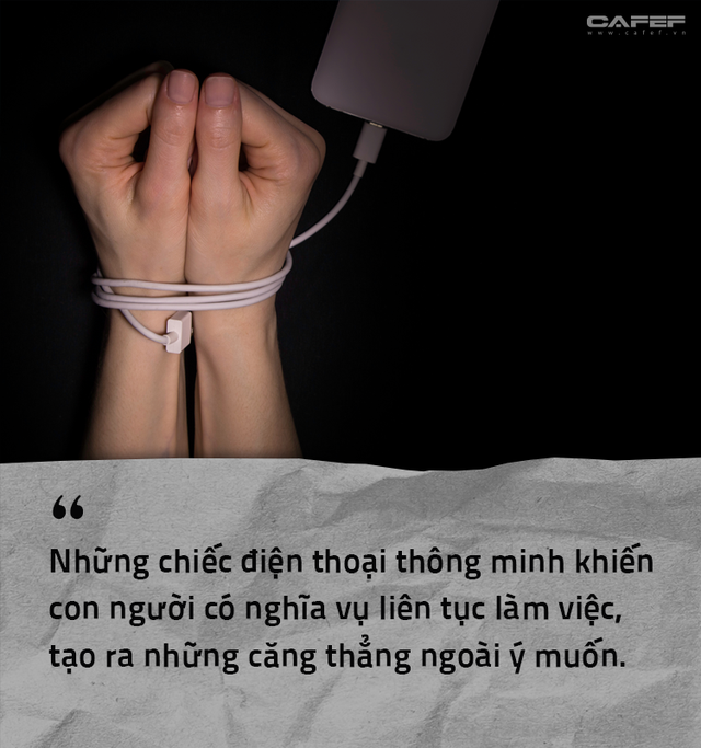 03094c4be53a6534c401.png