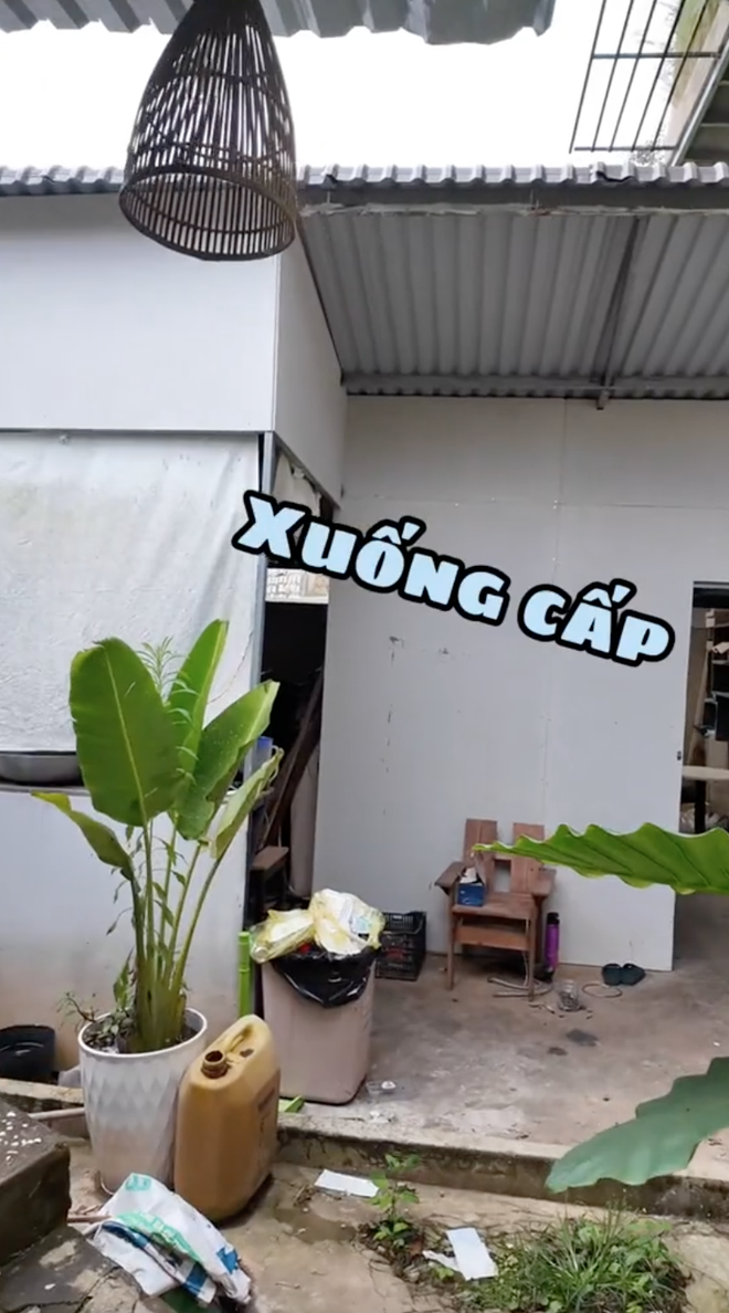 033711ce3dfd49aeea09.png