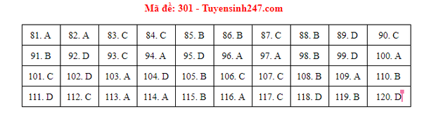 035f6f8c0837ed37e941.png