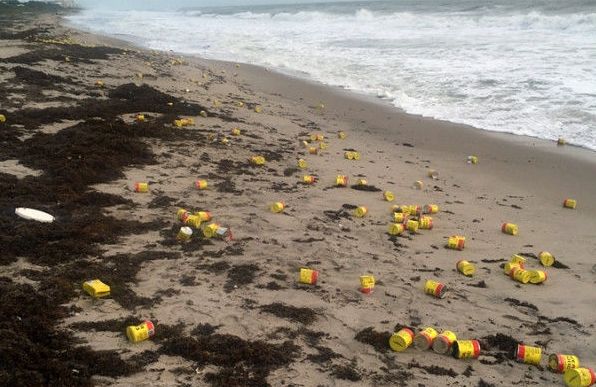 03941f84c88ff2b4332d.jpg
