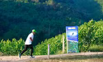 0394e154e51d74b2fd99.jpg