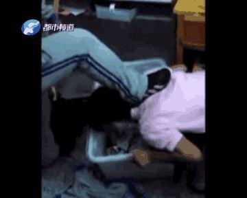 03a45adad00c27ba2bb2.jpg