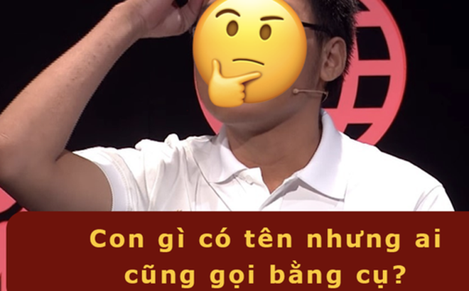 03b6e8de4bf795595c20.png