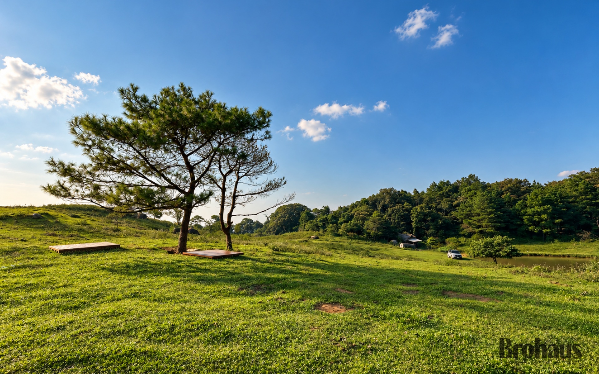 0420f37c600efcb0dd7d.jpg