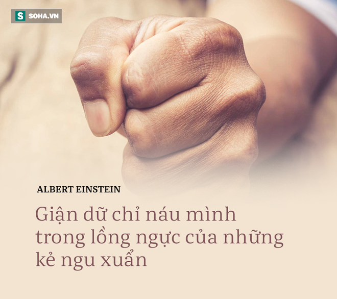 045d1876266fe95146aa.png