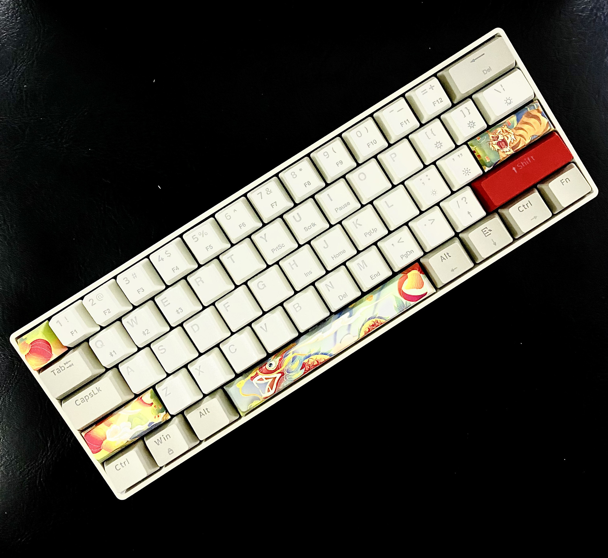 04aec98fa099e31d864f.jpg