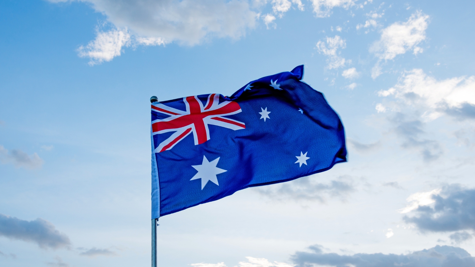 04df7973495582c8c304.jpg