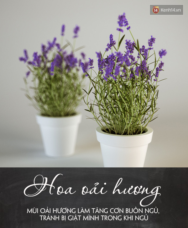 0507d320fae0a48fabad.jpg