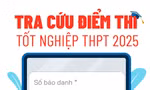 054be44dd41225cfeca9.jpg