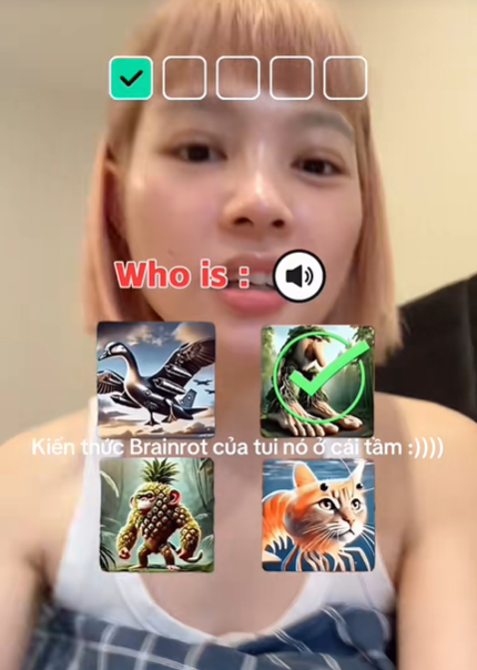 055aa3d9d2c45ce4fda1.png