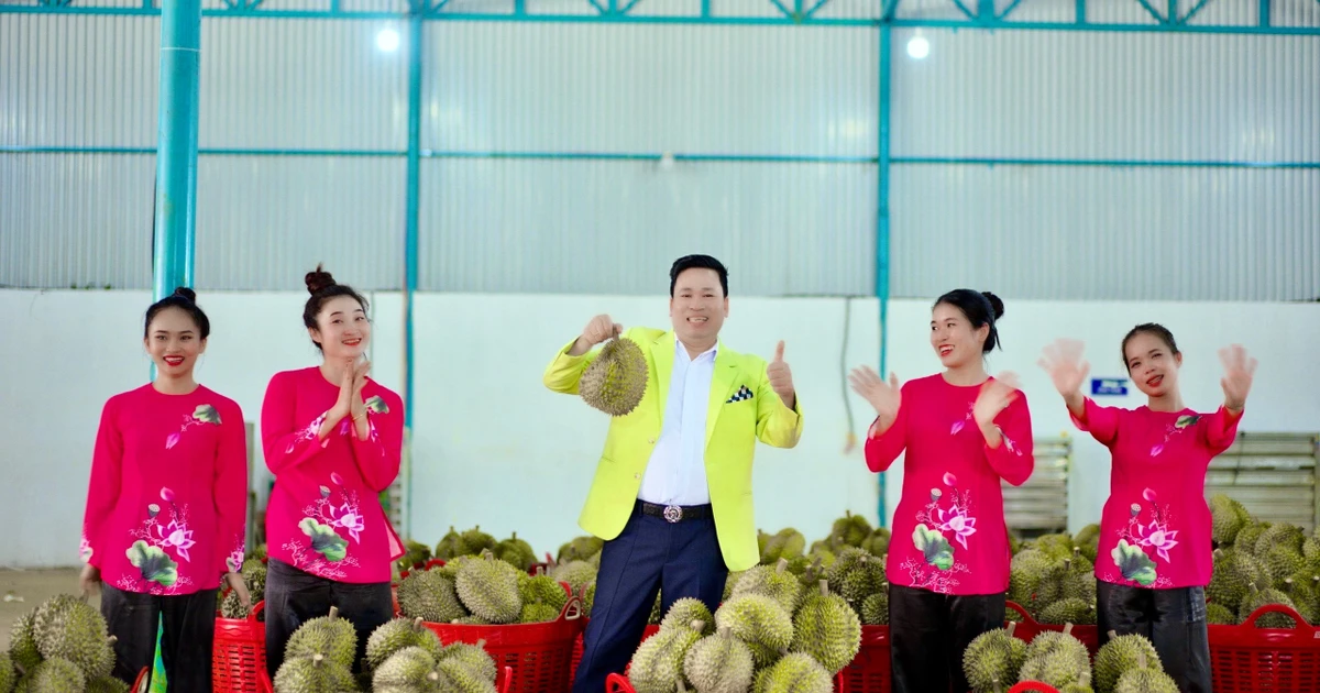 Trò cưng của Ngọc Sơn ra mắt MV về sầu riêng - "trái cây tỷ đô" của Việt Nam