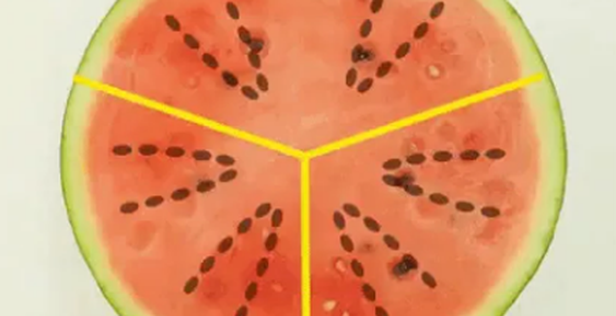 05ac9c13bdb930ceb339.png