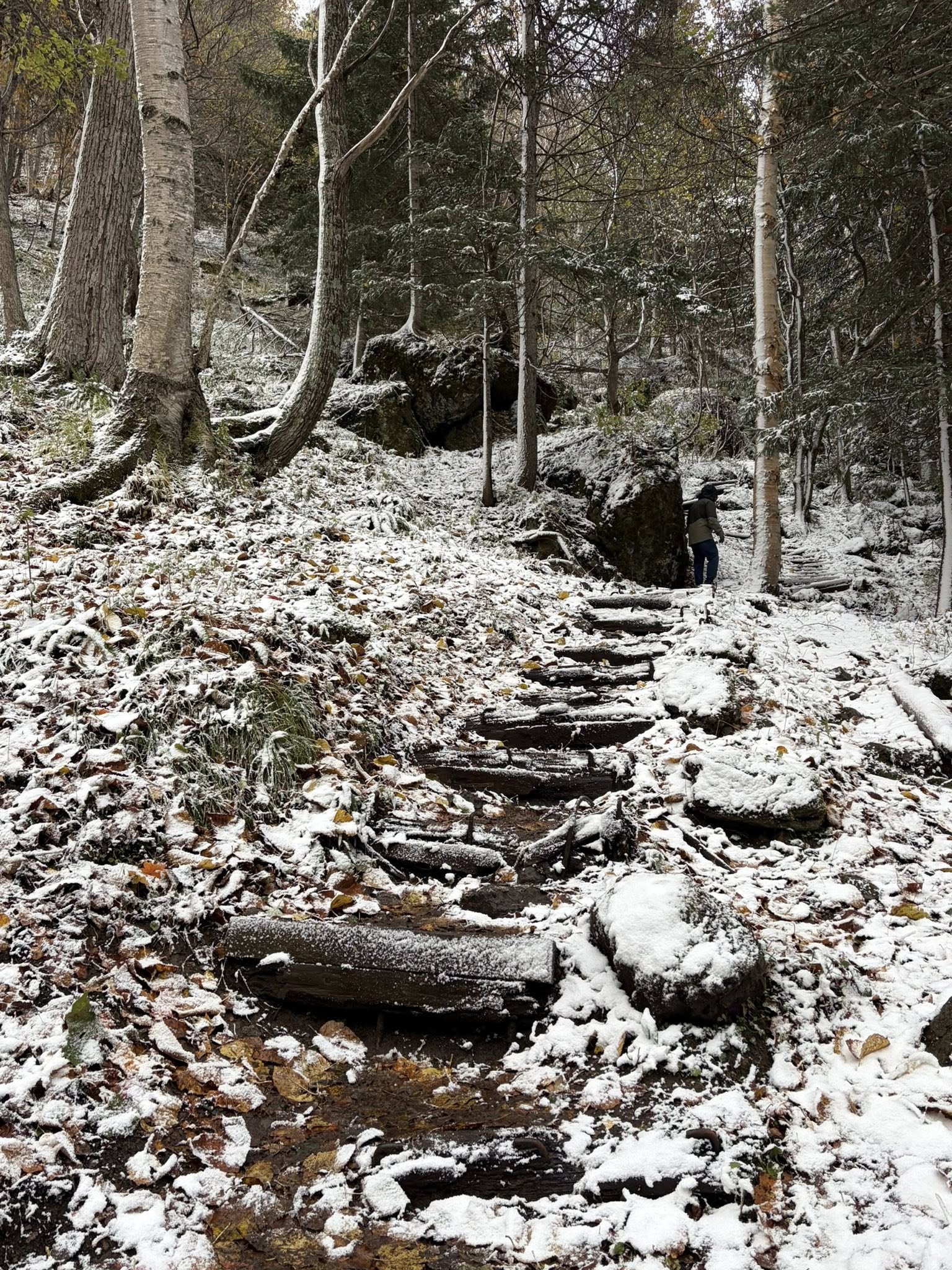 05c65b4829063a24c01b.jpg