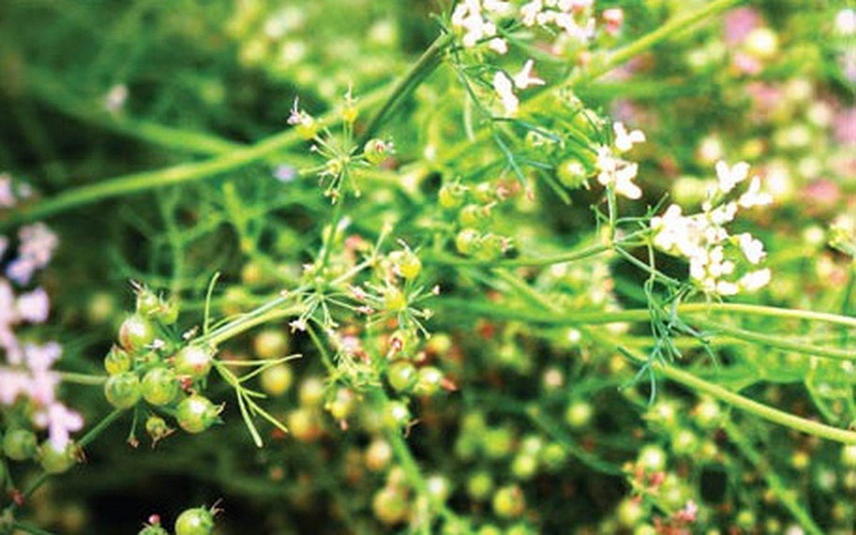 05c6a45994ed024bfddf.jpg