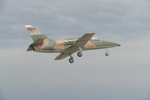 05f165a1aa5346d3cda5.jpg