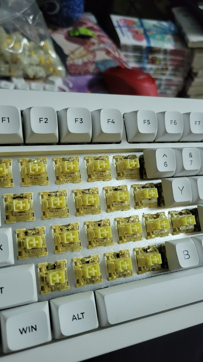 05fc5b85a90aa5165fb7.jpg