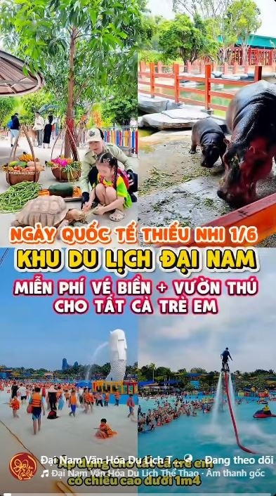 0608fcfcf652a3f6cf9f.jpg