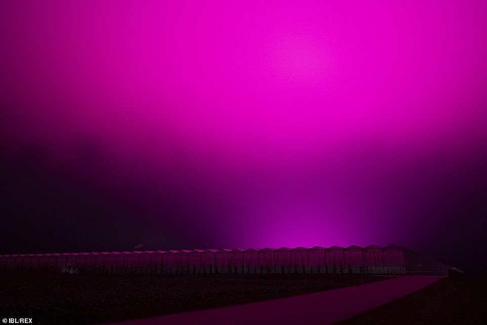 065d57f36378f88a912f.jpg