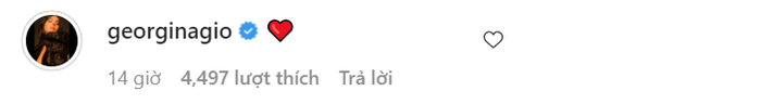0679886d8ff7bfcc1f5c.png