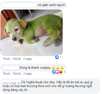 067c5998e0d67c2ca59a.png