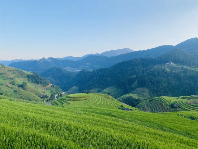 067ce0384aa08503073c.jpg