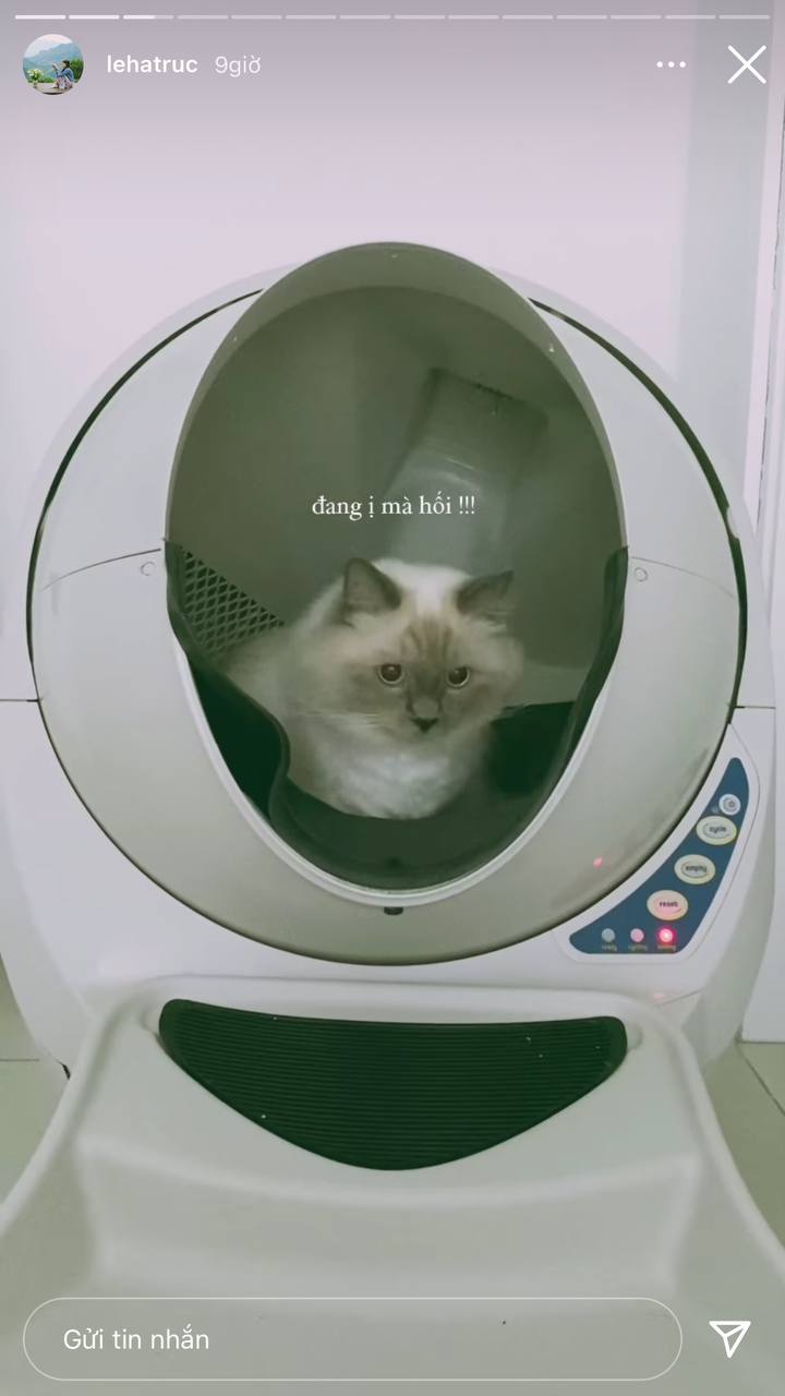 06913d436775c60d8b6f.jpg