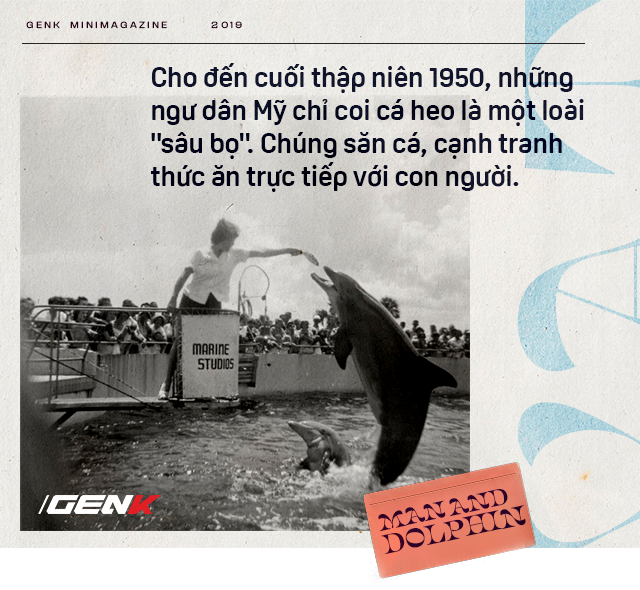 069f35a10acd9a110e7a.png