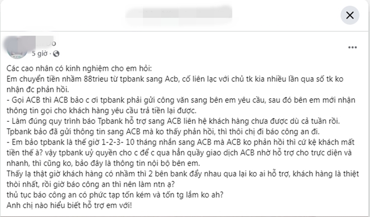 06e80efb38db891965d5.jpg
