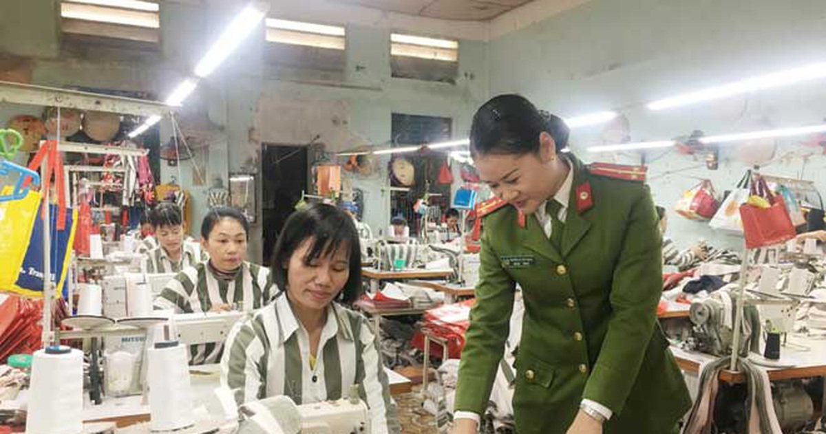 06eaeaf797ccf37360ec.jpg
