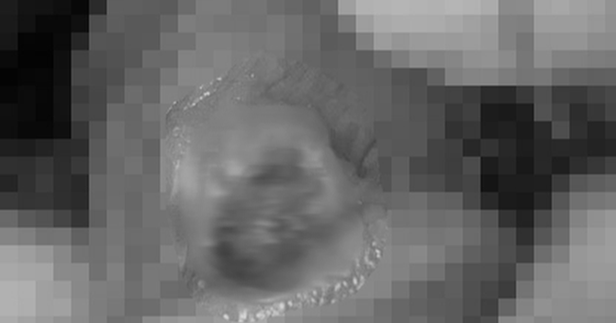 076bcd33e6611ca0135f.png