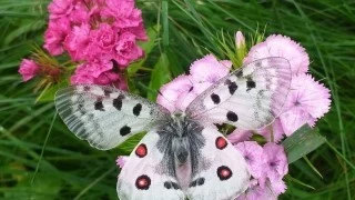 078ac4ac6a7f67b314e9.webp