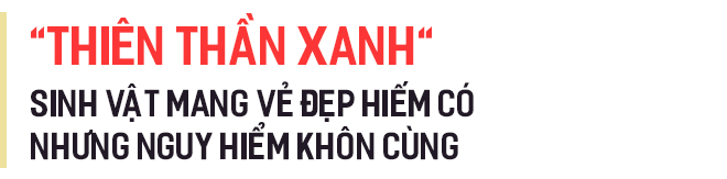 078cb20572517cd5c13d.png
