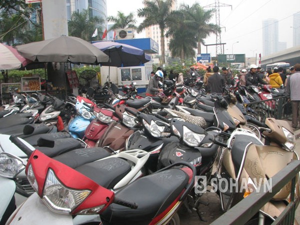07afa99413effd2186b4.jpg