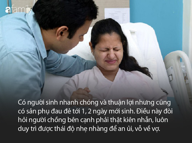 07b90d7519dee042cac7.jpg