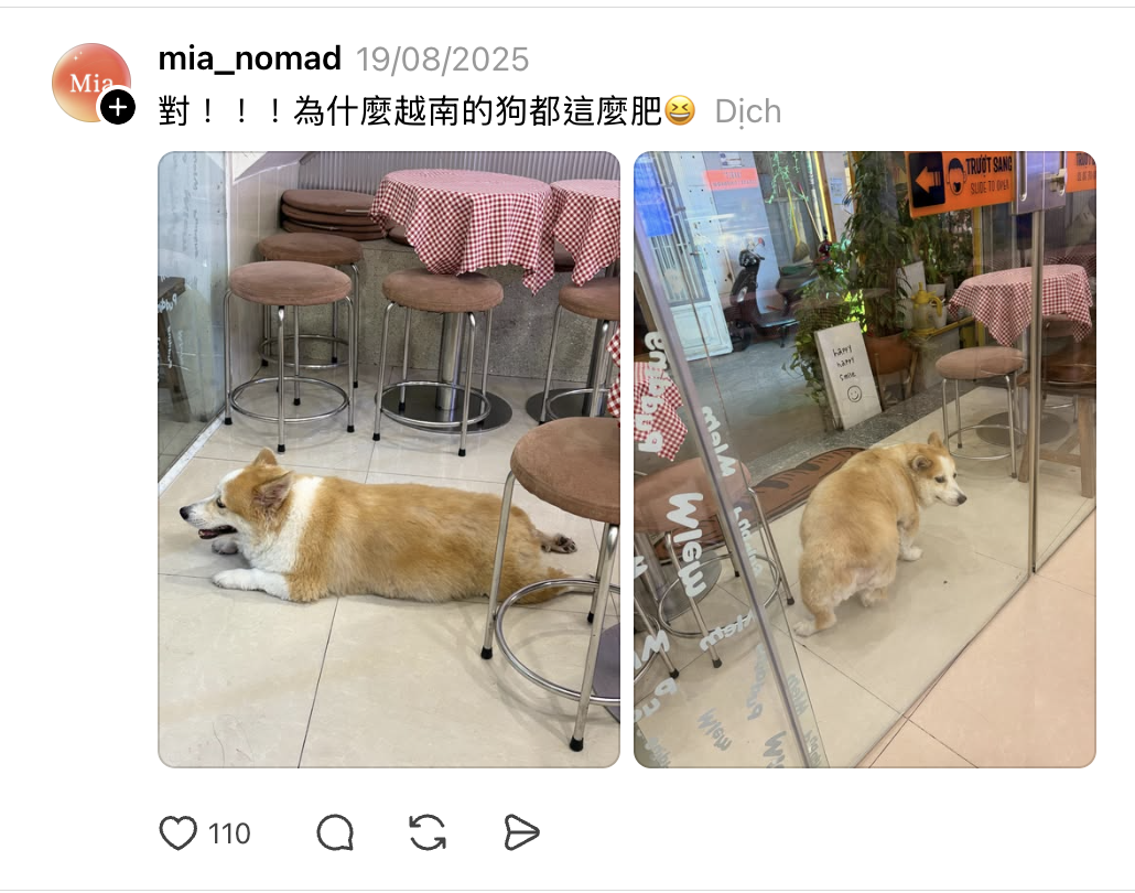07ec13e0bb008ee473c8.png